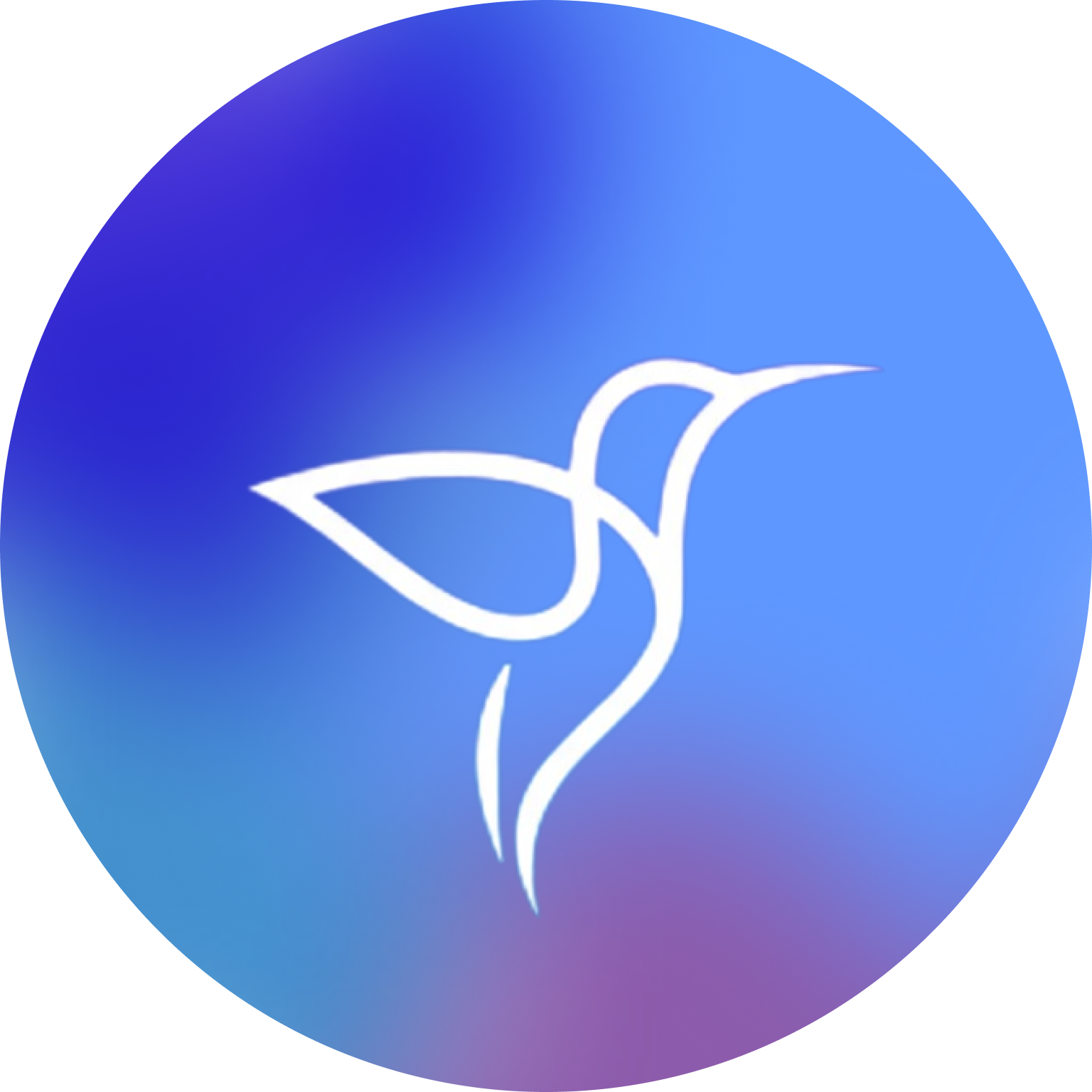 ColibriSights Logo